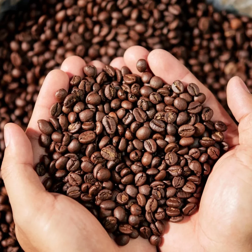 Medium Roast coffee Beans